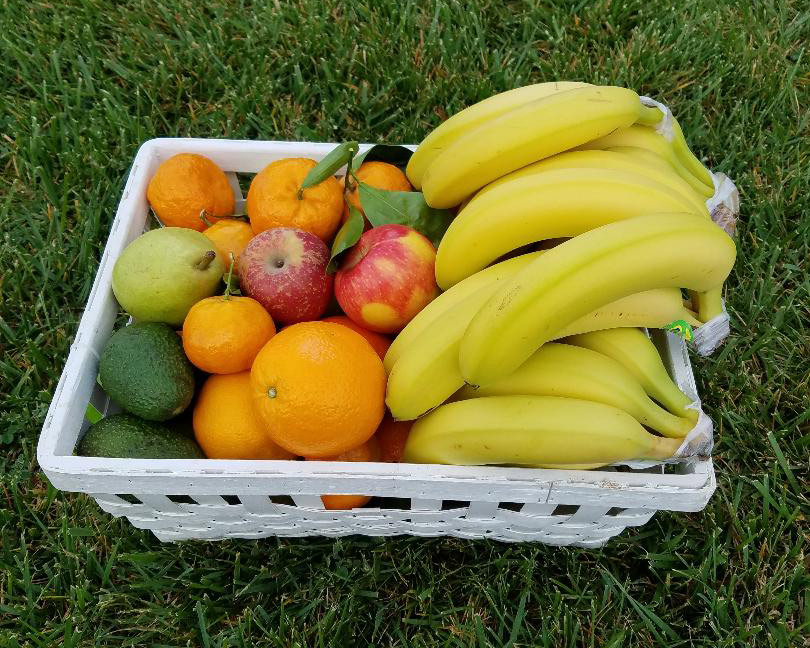 Medio Fruit Basket